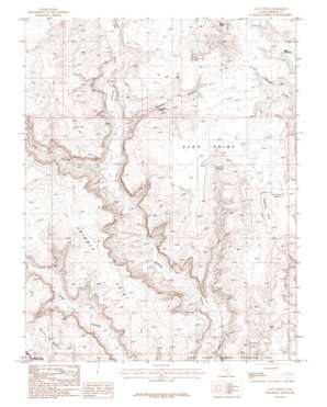 Clay Point topo map