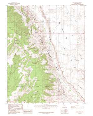 Deer Point topo map