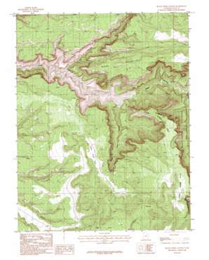 Black Steer Canyon USGS topographic map 37110g1
