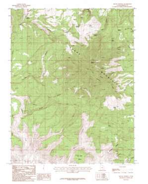 Mount Pennell topo map