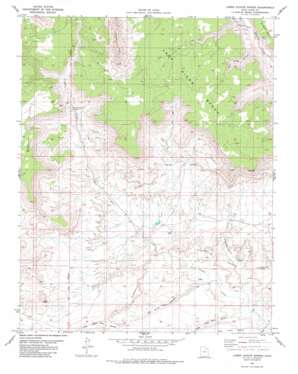 Lower Coyote Spring topo map