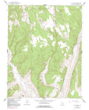 Calico Peak USGS topographic map 37111c8