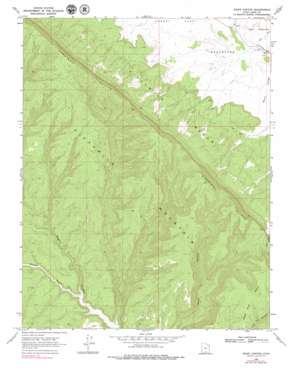 Basin Canyon USGS topographic map 37111d3
