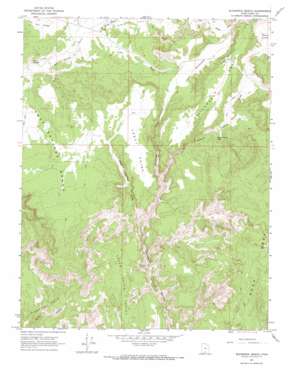 Slickrock Bench USGS topographic map 37111d8