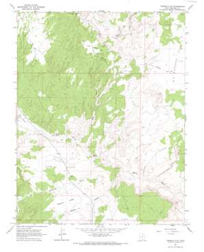 Tenmile Flat USGS topographic map 37111f4
