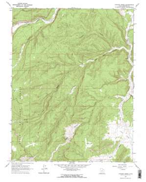Canaan Creek topo map