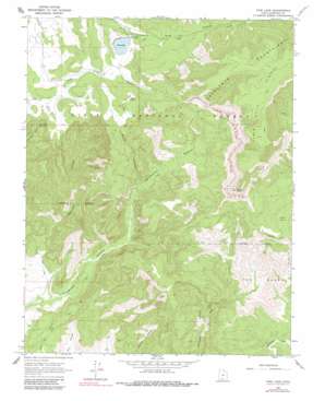 Pine Lake USGS topographic map 37111f8