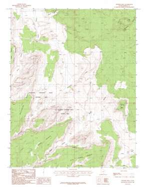 Pioneer Mesa topo map