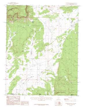 Petrified Hollow USGS topographic map 37112a2