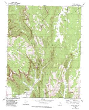 Hildale topo map