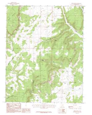 Nephi Point topo map