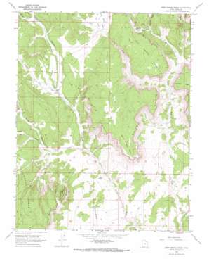 Deer Spring Point topo map