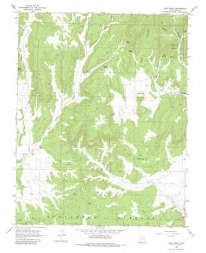 Bald Knoll USGS topographic map 37112c4