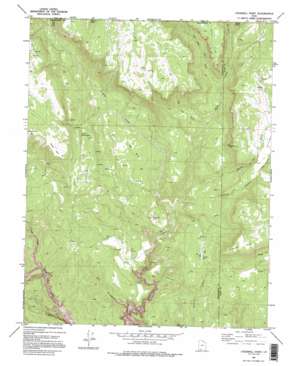 Cogswell Point USGS topographic map 37112d8