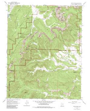 Bryce Point topo map