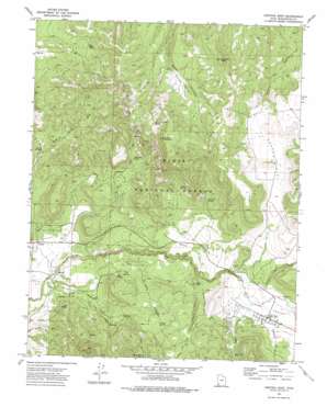 Central East topo map