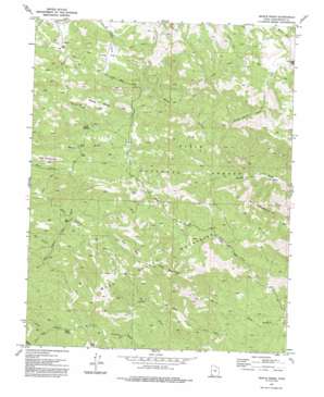 Maple Ridge USGS topographic map 37113d7