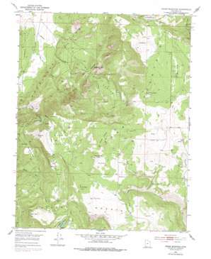 Cedar Mountain USGS topographic map 37113e1