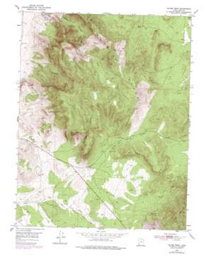 Silver Peak USGS topographic map 37113f4