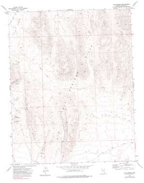 Tule Spring USGS topographic map 37114a2