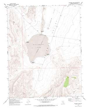 Delamar Lake USGS topographic map 37114c8