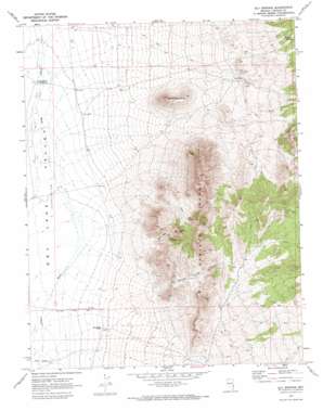 Ely Springs topo map