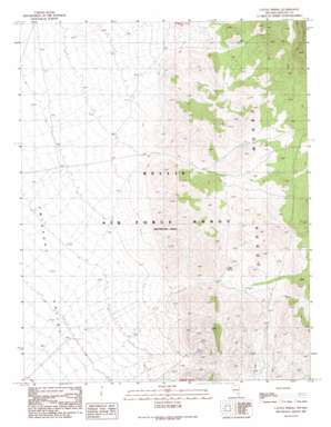 Cattle Spring topo map