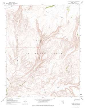Thirsty Canyon topo map