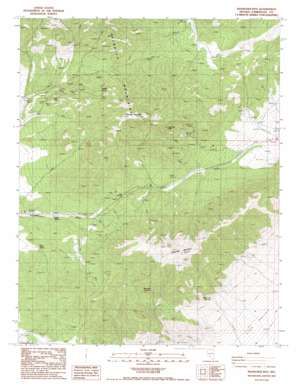 Magruder Mountain USGS topographic map 37117d5