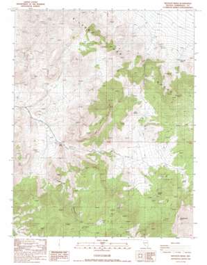 Rhyolite Ridge USGS topographic map 37117g7