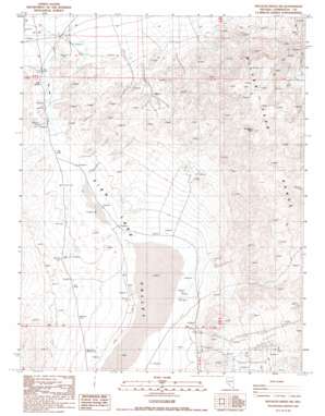 Rhyolite Ridge NW USGS topographic map 37117h8