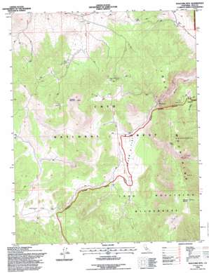 Waucoba Mountain topo map