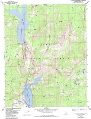 Courtright Reservoir topo map