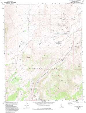 Tungsten Hills topo map