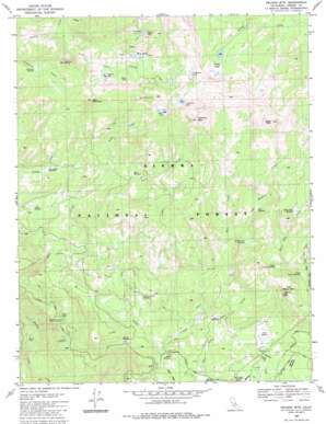 Shaver Lake USGS topographic map 37119a1