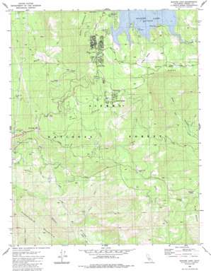 Shaver Lake USGS topographic map 37119a3