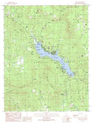 Bass Lake topo map