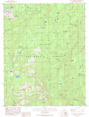 Little Shuteye Peak USGS topographic map 37119d4