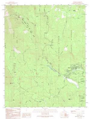 Wawona USGS topographic map 37119e6