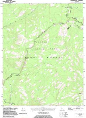 Tamarack Flat topo map