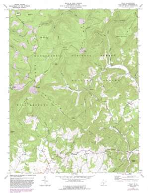Trout USGS topographic map 38080a4
