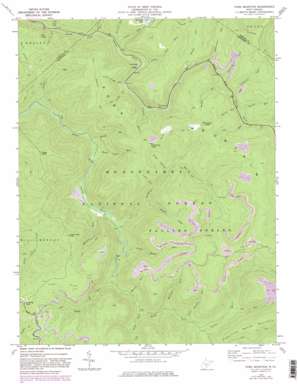 Fork Mountain USGS topographic map 38080b4