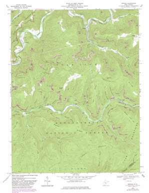 Bergoo USGS topographic map 38080d3