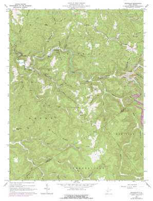 Swandale topo map