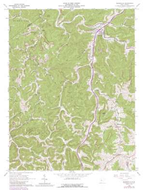 Burnsville USGS topographic map 38080g6