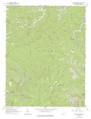 Williams Mountain USGS topographic map 38081a6
