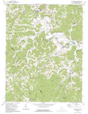 Cottageville USGS topographic map 38081g7