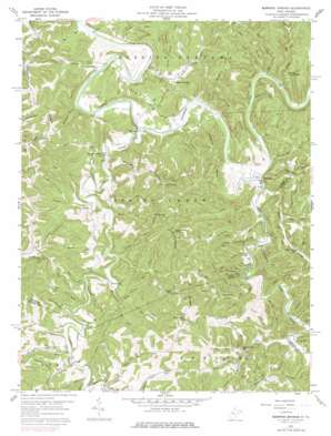 Burning Springs USGS topographic map 38081h3
