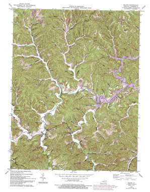 Blaine USGS topographic map 38082a7