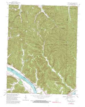 Buena Vista USGS topographic map 38083f3